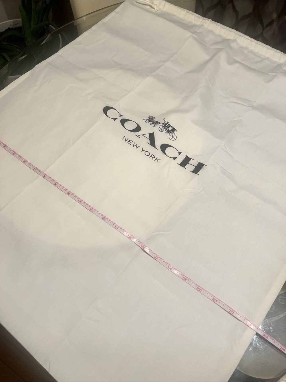 COACH XL White Dust Bag